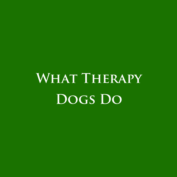 What Therapy Dogs Do