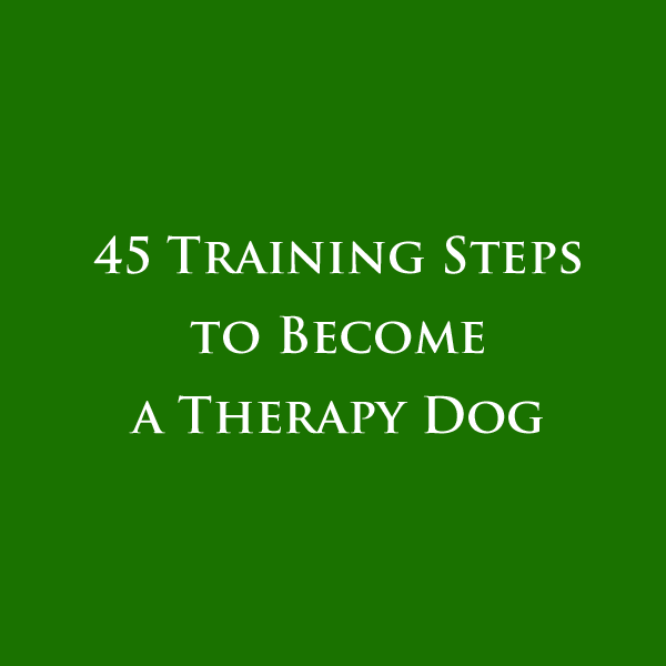 45 Training Steps to Become a Therapy Dog