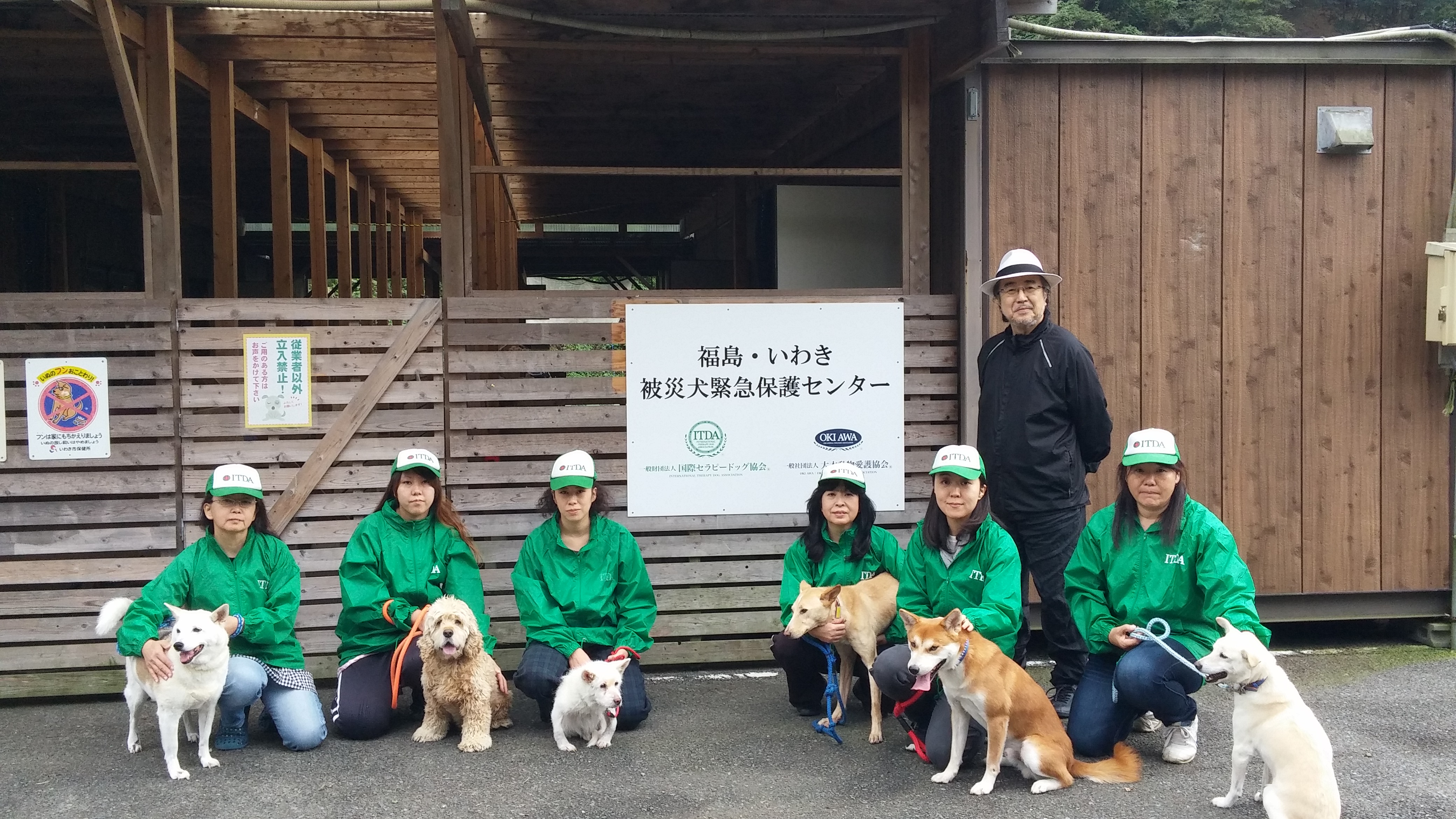 福島・いわき被災犬緊急保護センター 緊急救助した被災犬達 | 一般財団