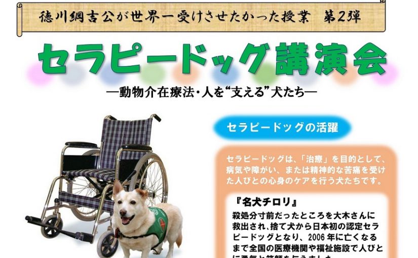 活動報告 一般財団法人 国際セラピードッグ協会