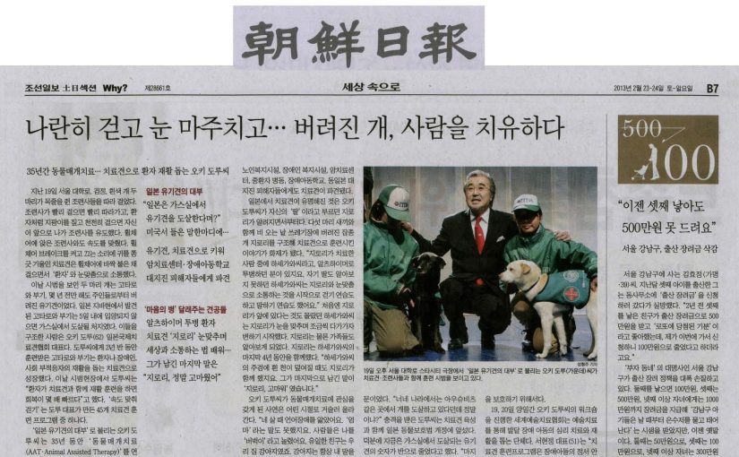 大木トオル代表  韓国の動物愛護の架け橋として「犬食用禁止法」に貢献